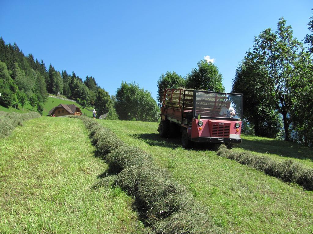 Lercherhof Feld am See Εξωτερικό φωτογραφία