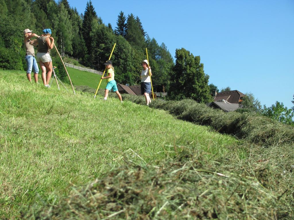Lercherhof Feld am See Εξωτερικό φωτογραφία